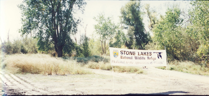 stonelakes